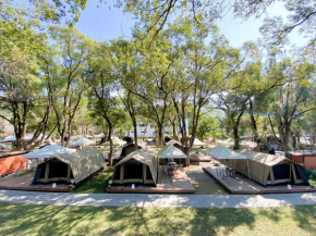 YCC Forest Campsite